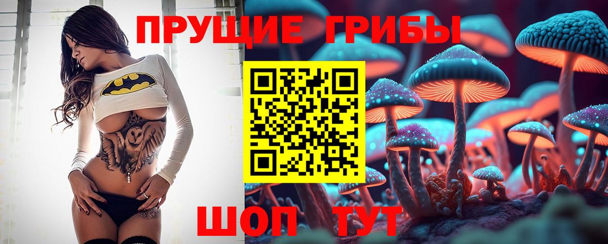 где купить наркотик  Вход с VPN  Майкоп  Псилоцибиновые грибы Magic Shrooms 